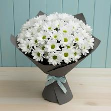 Букет цветов из:  Хризантемы #REPLACE_PRED# Новониколаевском