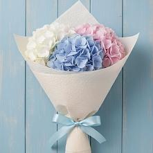 Букет цветов из:  Гортензия в Новониколаевском