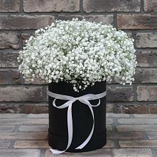 Цветочная композиция из Гипсофила в шляпной коробке в Новониколаевском