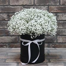 Цветочная композиция из Гипсофила в шляпной коробке в Новониколаевском