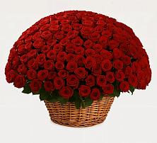 Премиум букет из: Розы в Новониколаевском