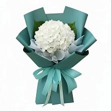 Букет цветов из:  Гортензия #REPLACE_PRED# Новониколаевском